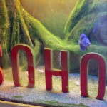 Thumbnail of related posts 015