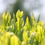 Thumbnail of related posts 097