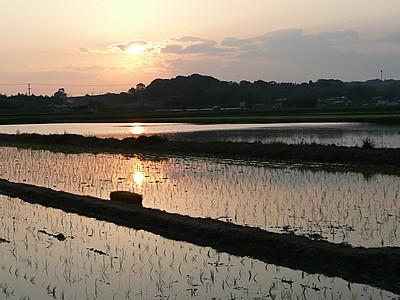 初夏の夕暮れ